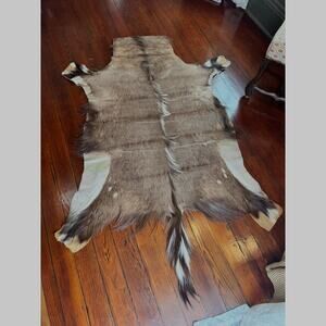 Authentic South African Nyala Hide Rug - Ethically Sourced -81.5” x 55.5”